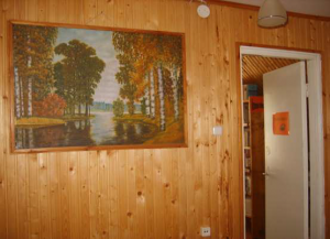 stradu biblioteka_2
